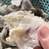 100g yến thô đẹp