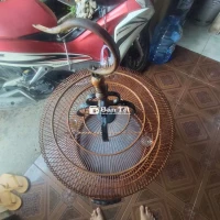 lồng 88 sai 55 có gl được cây nào kô ae