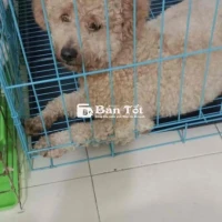bé phối đươc 25 ngày
