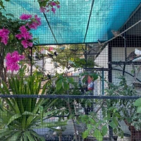 Dọn Avi Bán Bớt Cu Ta & Pháp