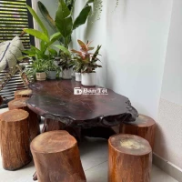 nhà chật cần bán bộ bàn ghế làm rừ gốc cây gỗ đăcj