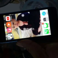 Iphone 5c rin sưu tầm còn xài tốt có giao lưu