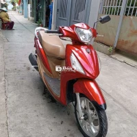 Shark mini 125. Fi