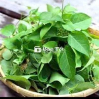 Cây lá Giang nấu lẩu gà