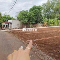 Đất sổ hồng riêng 110m2 giá cực rẻ tại Trảng Bom