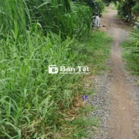 🔰 Bán đất lúa: 24.000m² (54m x 436m) 🔰 Đường đá xe ba gác