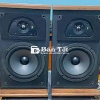 Loa AR TSW 210