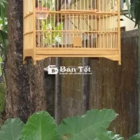 MỚI RA LÒ MỘT CHIẾN BINH BÁC NÀO NHẬN CHĂM K Ạ