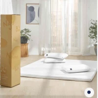 THANH LÝ NỆM TOPPER RU9 Foam