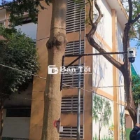 Tư vấn, lắp đặt camera quan sát
