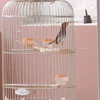 Bổi tố chất đấu kiếng chim đánh được 3 ngày, đang vô cám, kèm kiếng đấu như clip, chim không lồng