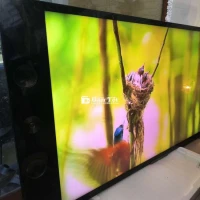 Smart TV Sony 55 inch 4K Cao Cấp - Giá Hời!