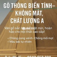 Thông biến tính