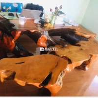 Cần bán bộ bàn ghế gốc cây gỗ trai cực đẹp