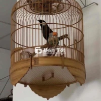 Khướu Thuần Múa - Hót cực Đỉnh Lên cho ae sưu tầm chơi  