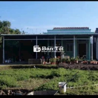 Bán Gấp 328m² Đất Thổ Cư + Nhà Cấp 4 Kiên Cố - Cần Giuộc, Long An  