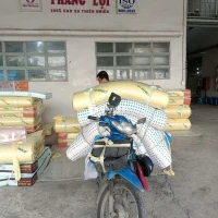 Nệm Cao Su Non Gì Vấp - Nệm Cao Su Non Thắng Lợi & American - Chất Lượng Tại Nhà Máy  