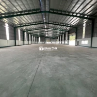Cho Thuê Nhà Xưởng Mới 3500m2, 4500m2, 5000m2 KCN Bàu Bàng, Bình Dương