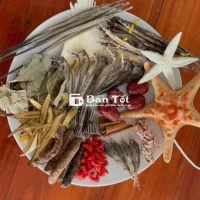 cá ngựa ,hải long , sao biển .em lên combo