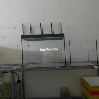 hồ dài 50cm rong 35cm cao 40cm