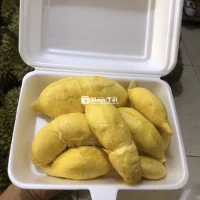 SẦU RIÊNG RI 6