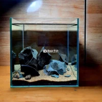 Hồ cá đủ như hình (KT 20x20x20)
