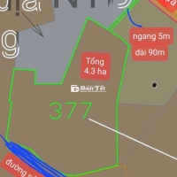 Bán Đất Cao Su 4.3 ha - Giá Tốt - Vị trí đắc địa