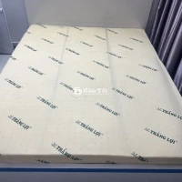 Nệm Thắng Lợi 1m6x2m