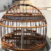 Lồng Đôi Cu Gáy Cần Thanh Lý – Nhỏ Gọn, Đẹp Sắc Sảo