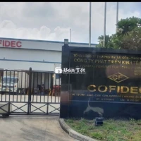Tuyển 50 Công Nhân Cắt Cà Tím - Lương Lãnh 10 Ngày/Lần!