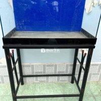 Bể Cá Nhà Cần Bán  