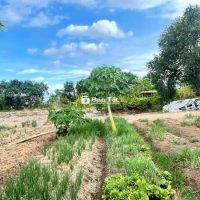 Bán đất mặt tiền đường nhựa, ô tô tải tới đất - 2,7 ha, 16 tỷ, cách QL62 3km  