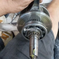 Dên Winner Odo Thấp - Xe Đẹp, Chất Lượng, Giá Tốt  