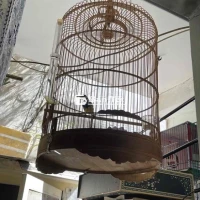 Bán bộ hút mật 5 màu 3 năm tuổi.