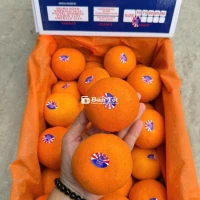 Quýt 2.P.H Size 42 (6,5 KG) - Sẵn Sàng Giao Tại Chợ Thủ Đức!