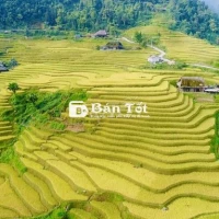 Chính chủ bán 1350m2 đất Muồng Voi, Vân Hòa, Ba Vì. Khoang Xanh