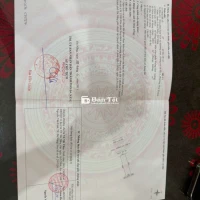 Tất cả đứng im và hãy ngước nhìn e,e kg những đẹp mà còn là ***