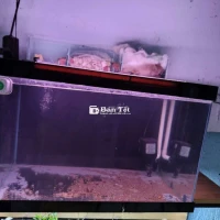 Bán full bộ hồ cá 60cm giá rẻ