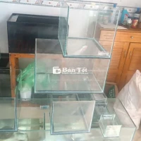 Cần Thanh Lý 5 Hồ 4.3.3 và 4 Hồ 5.3.3  