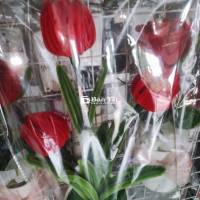 Hoa Tulip Đỏ 3 Bông Để Bàn - Quà Tặng Ý Nghĩa Hoặc Trang Trí  