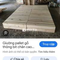 Thanh Lý Pallet Chân Cao 10cm  