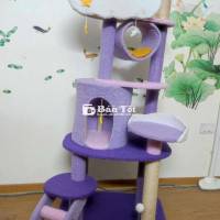 Thanh lý Cattree cao 1m65 tại Hà Nội  