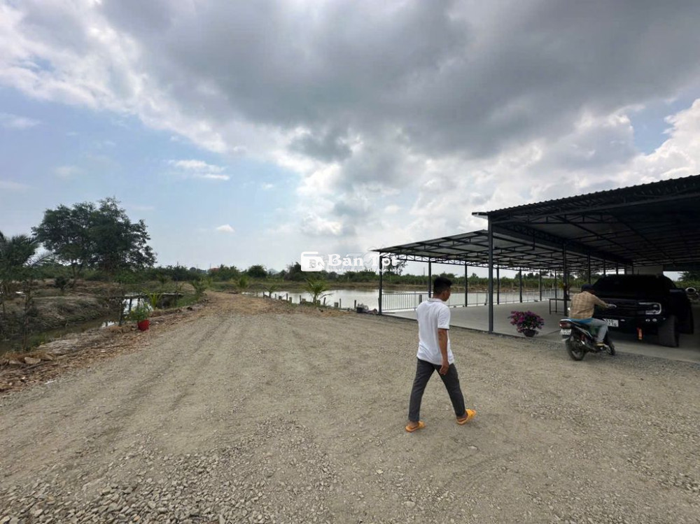 CẦN GẤP ĐẦU BẾP TRƯỞNG TẠI PHAN THIẾT