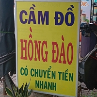 Trần Hoàng Mỹ