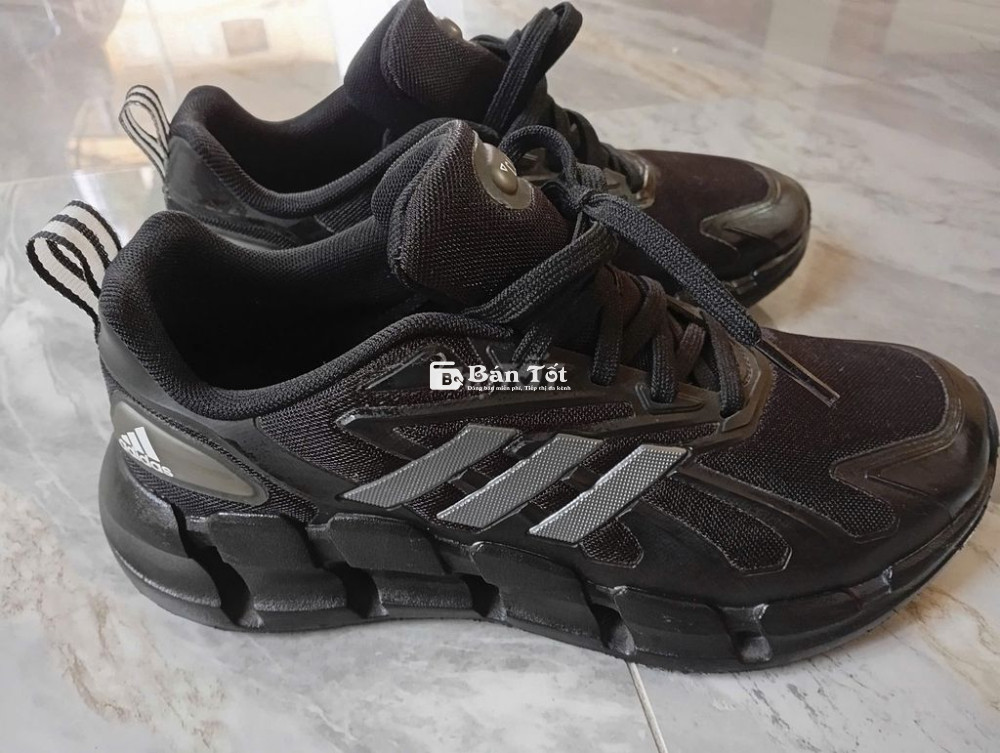 Pass giày Adidas Climacool Size 40