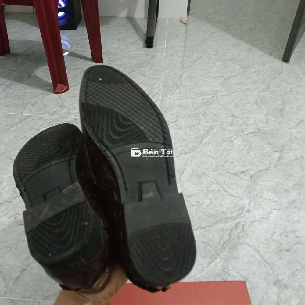 Giày da cá sấu thật size 41