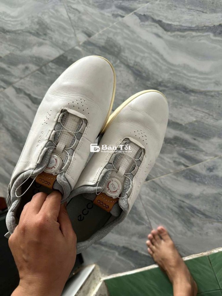 Giày Golf Ecco Size 43 E - Mới 100%, Chưa Mang Lần Nào  