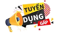 Tuyển dụng nhân sự 