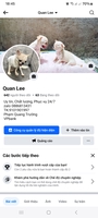 Pet Shop Quân Lee