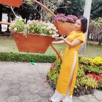 Phan Thị linh 